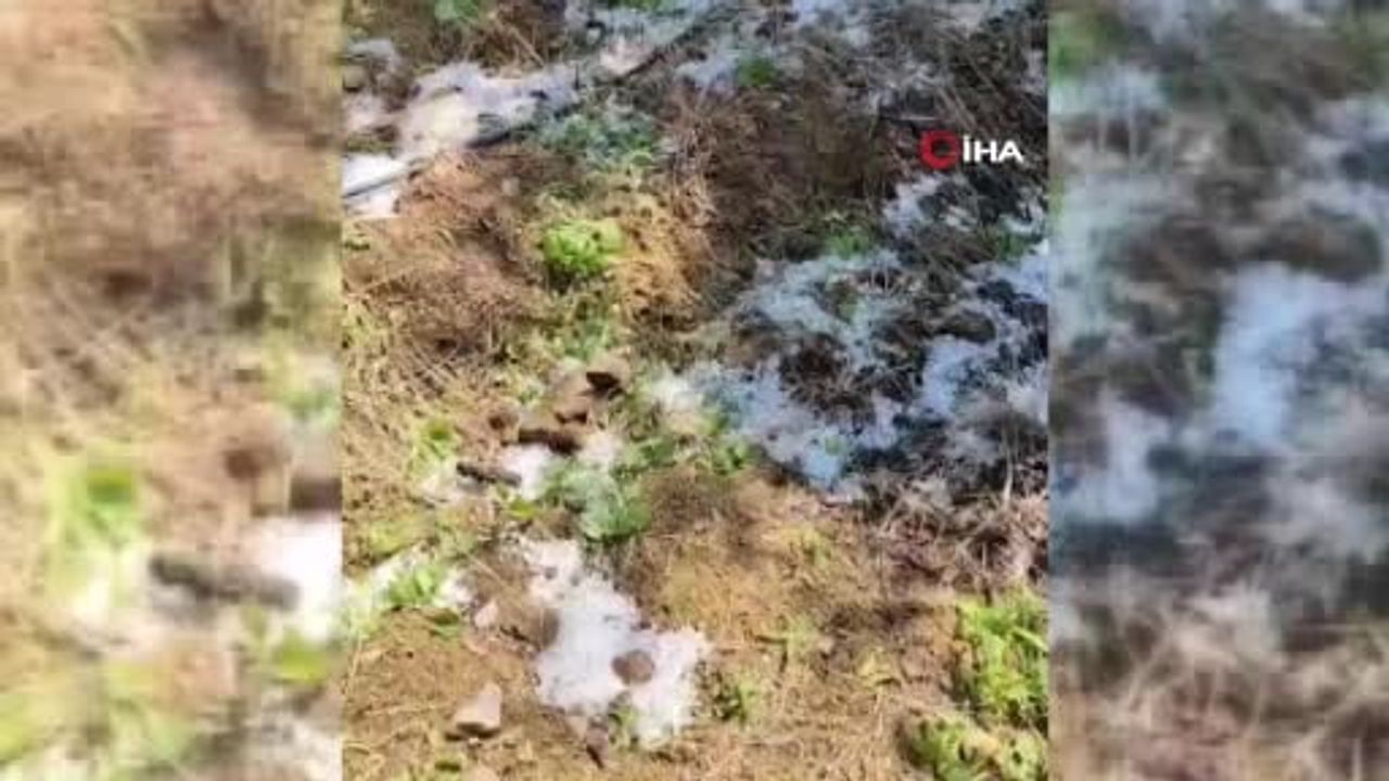 Alaşehir'de bilye büyüklüğünde dolu bahçelerde hasara yol açtı