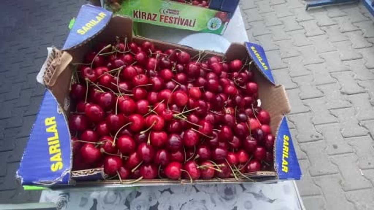 Alaşehir'de Uluderbent Kiraz Festivali'nde 'En Güzel Kiraz' yarışmasını Barış Demir kazandı