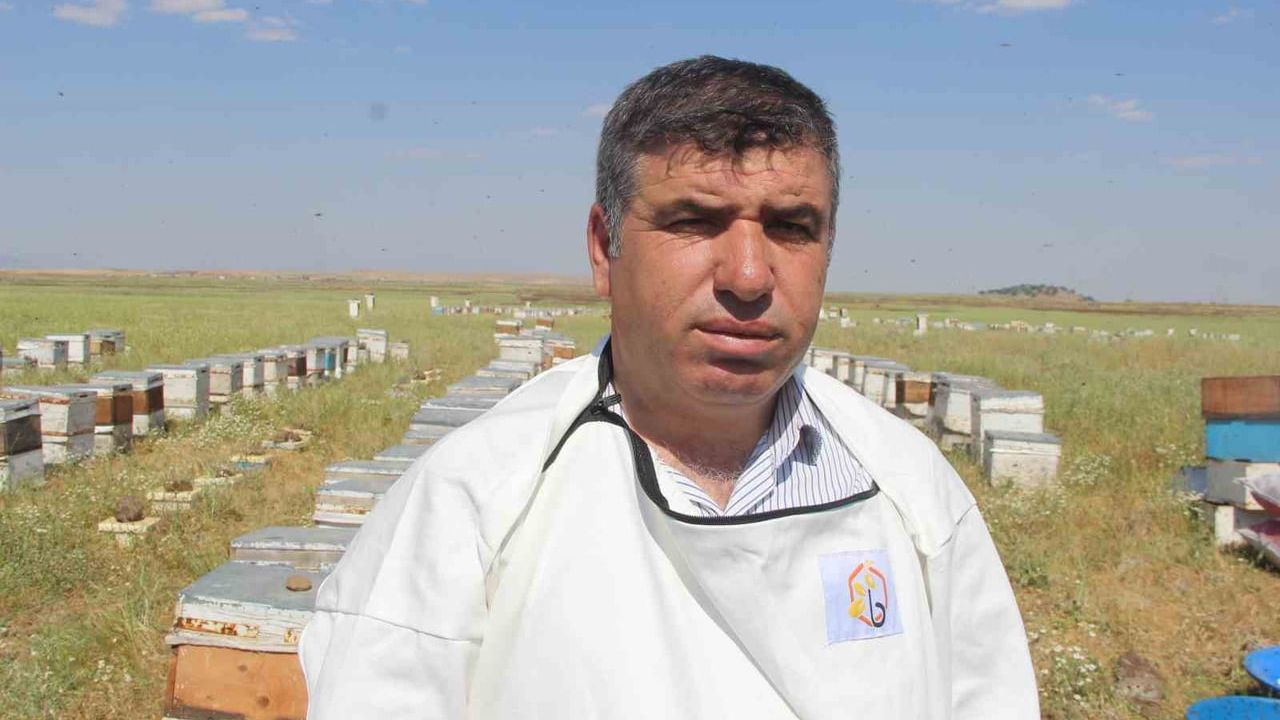 Alem Dağı'nda endemik bitkilerle üç kuşaktır Ordu'lu Yılmaz ailesi İdil'de arıcılık yapıyor