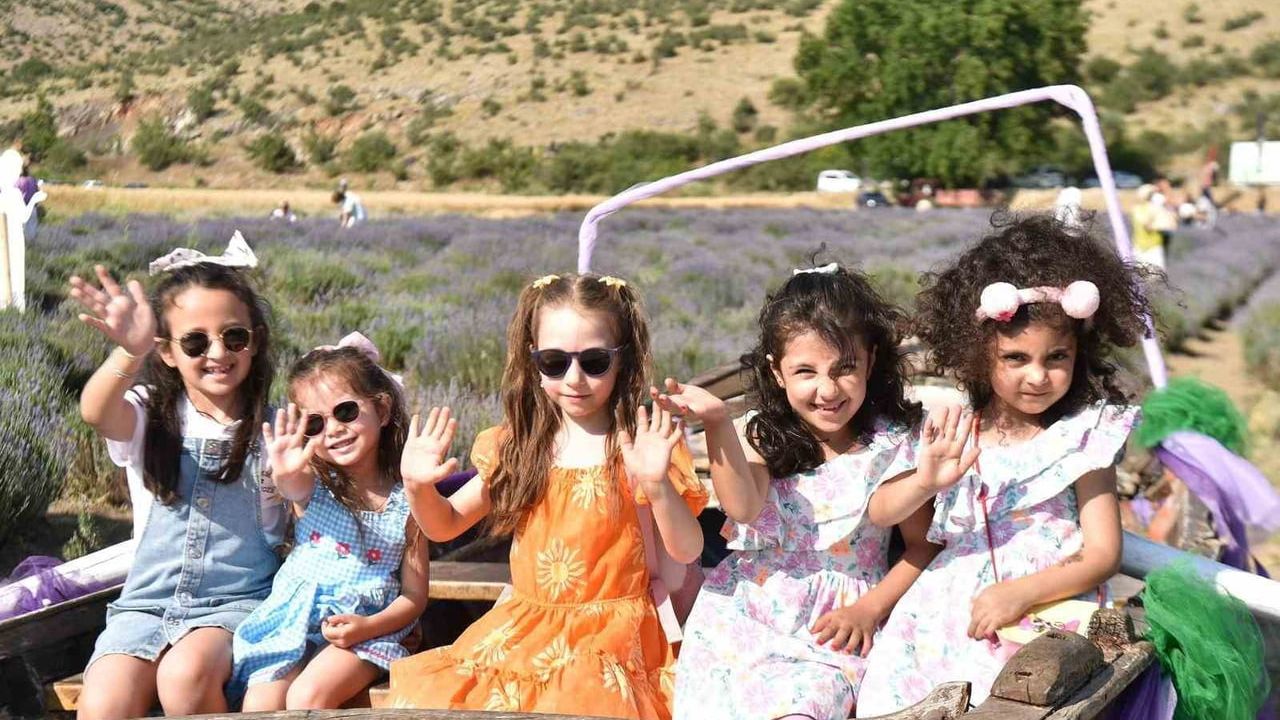 Altıeylül'de 4. lavanta günleri 19-21 haziranda