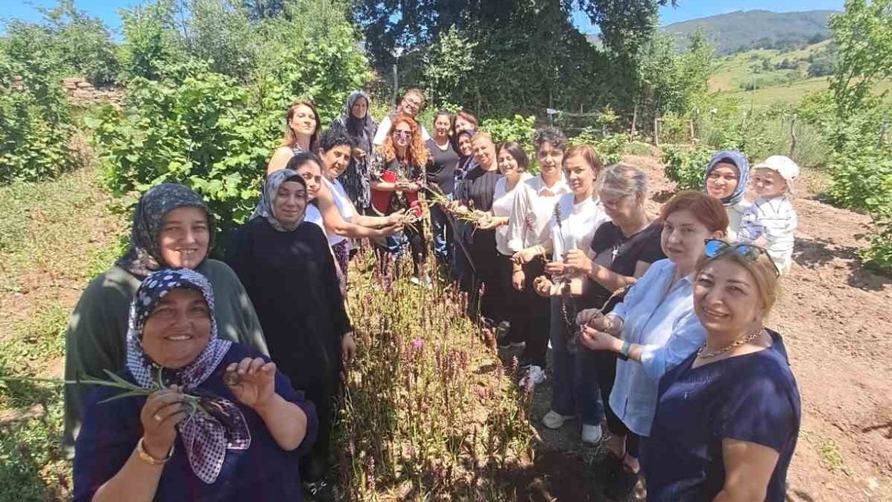 Anadolu’nun Mirası Projesi: 25 kadın üreticiye 7 bin salep fidesi dağıtılacak