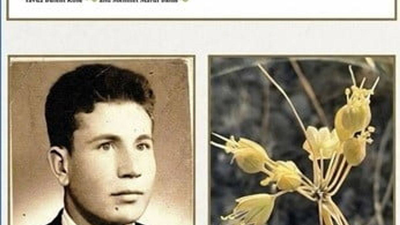 Anadolu Üniversitesi'nden dünya literatürüne iki yeni endemik tür