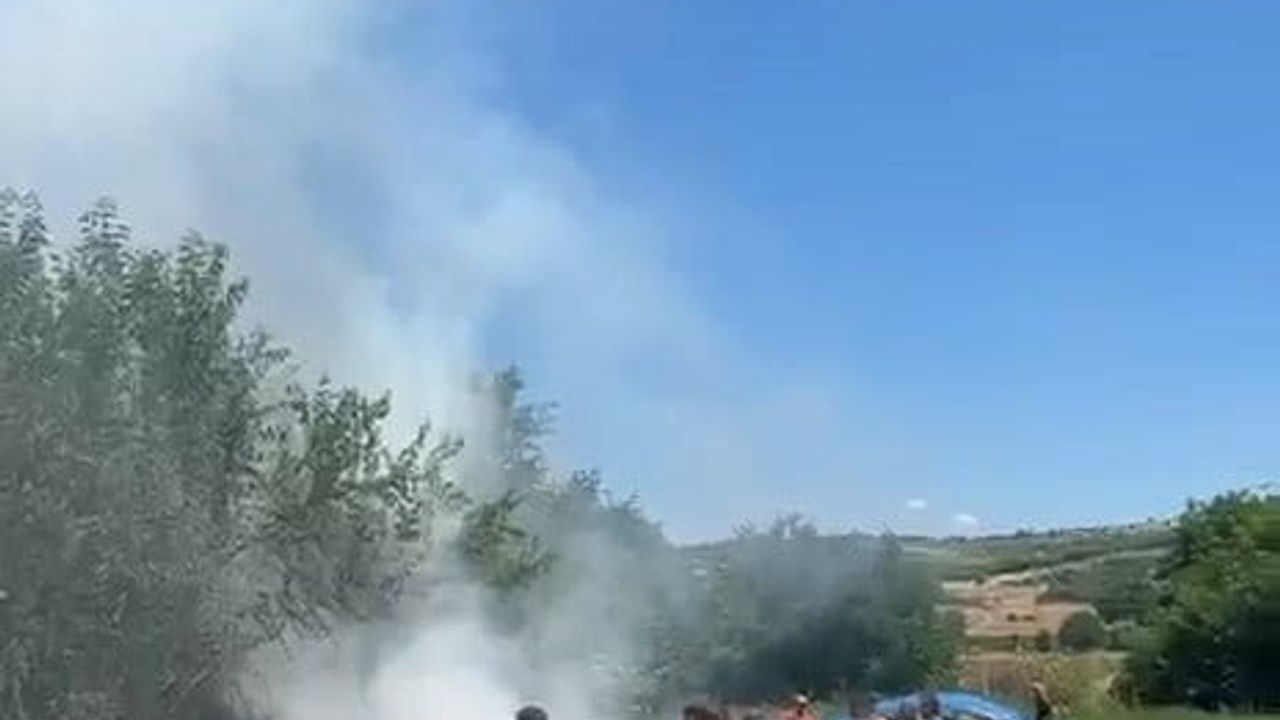 Anız alevi 20 dönümü küle çevirdi