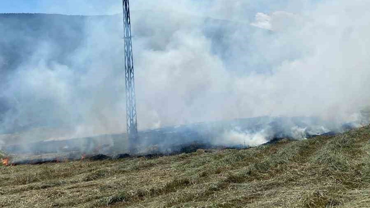 Anız yangını ormana sıçramadan söndürüldü
