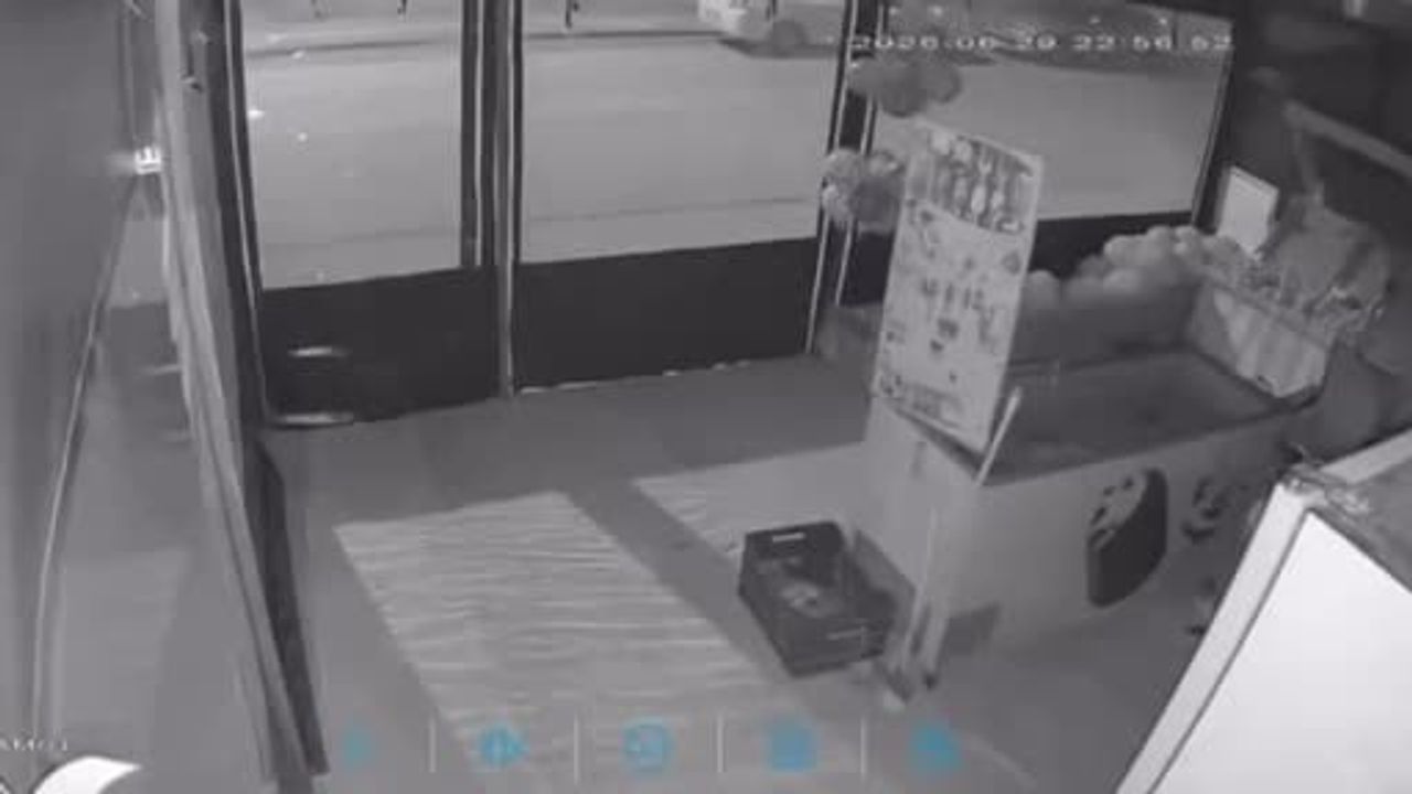 Ankara’da dondurma hırsızları kameraya yakalandı