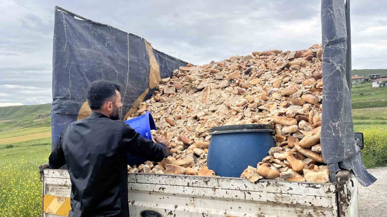 Ankaralı hurdacı, topladığı tonlarca ekmeği Çorum'daki yabani ve sahipsiz hayvanlara ulaştırıyor
