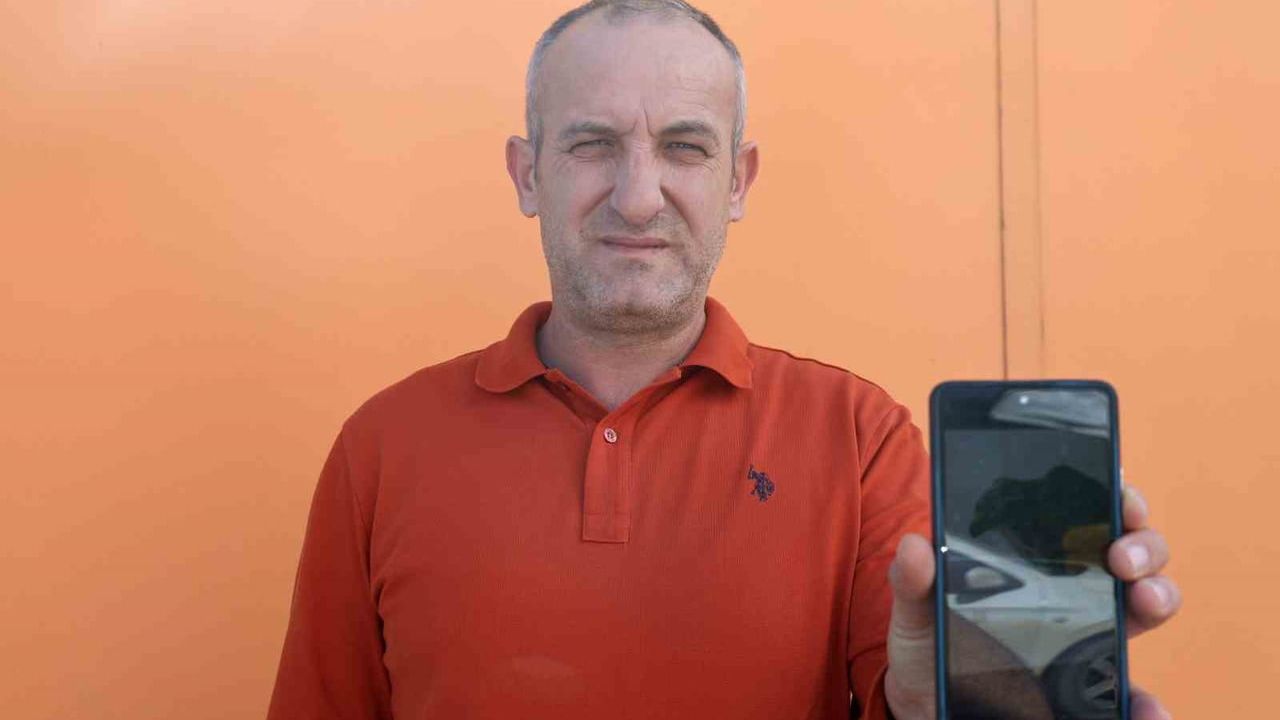 Antakya'da güvenlik görevlisi devriye sırasında yaralı şahini kurtardı