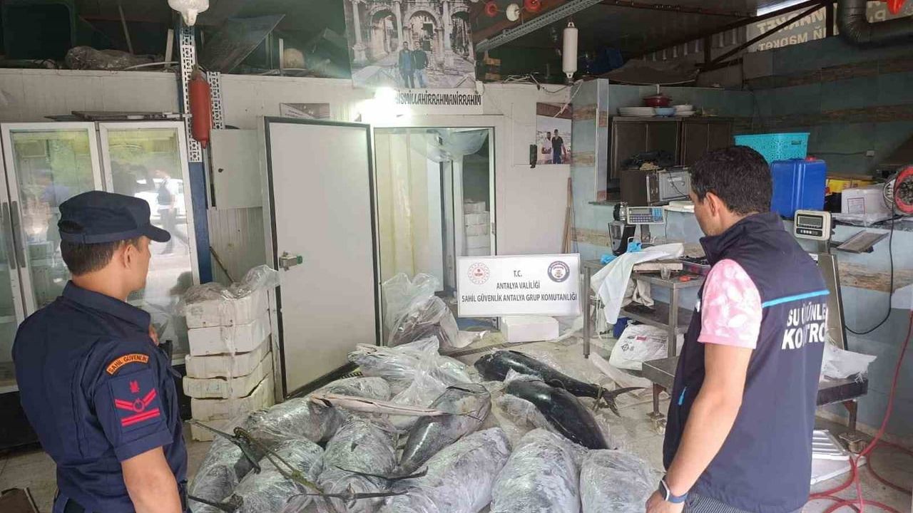 Antalya'da avlanması ve satışı yasak 603.2 kilogram balığa el konuldu