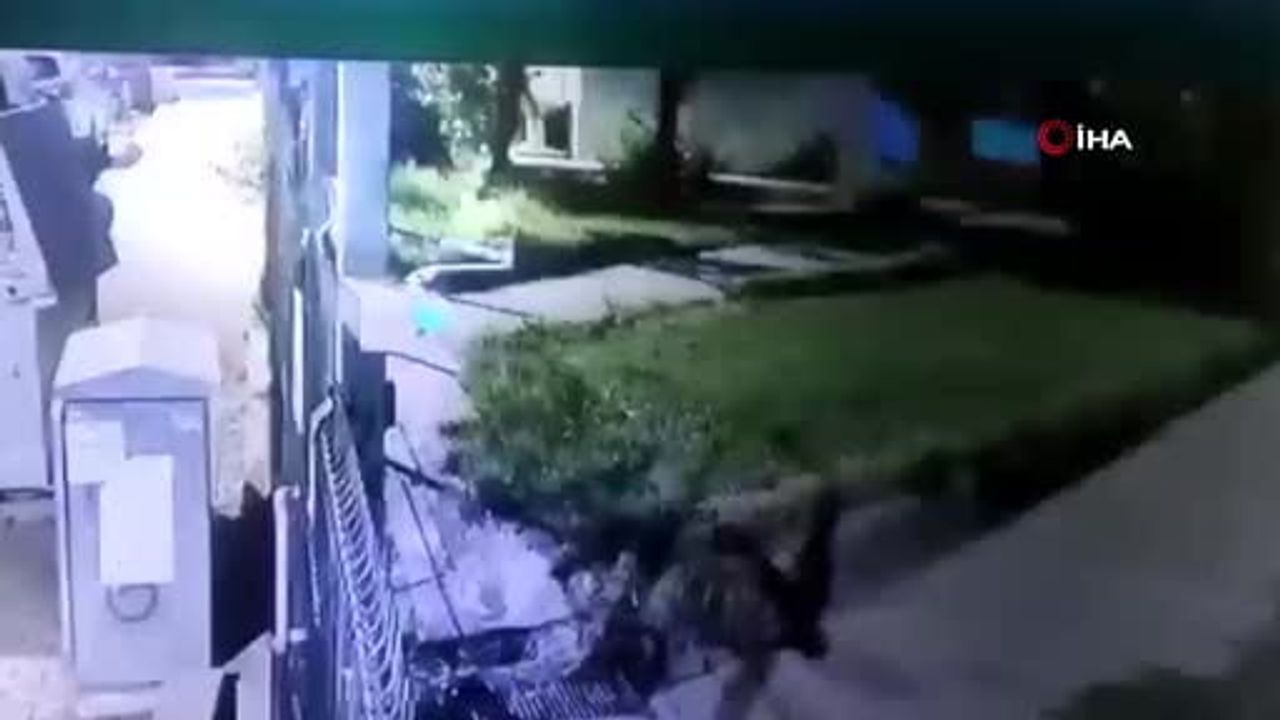 Antalya'da eski eşini eşarp ve yastıkla boğmakla yargılanan sanığın kız arkadaşı: 'bana trafikte birisini öldürdüğünü söyledi'