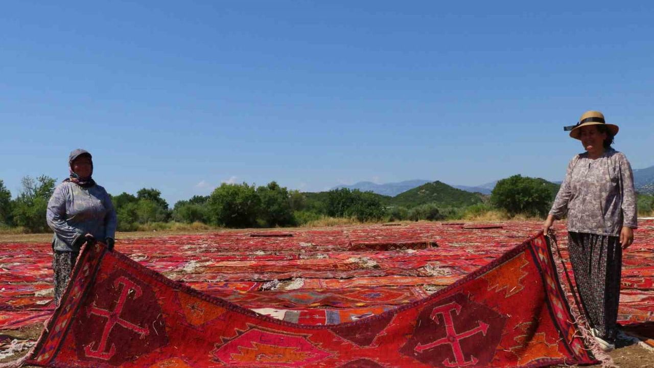 Antalya'da halı tarlaları: binlerce el dokuması halı buğday tarlalarında güneşleniyor