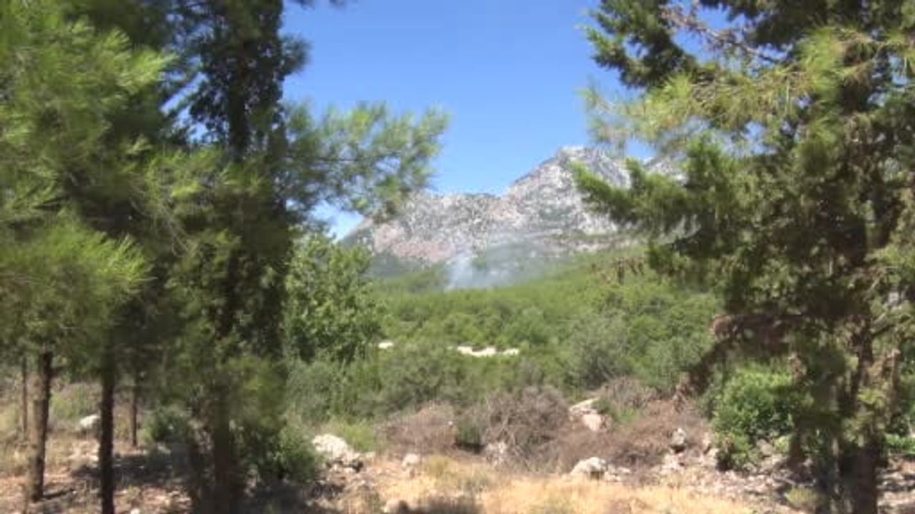 Antalya’da ormanlık alanda çıkan yangın büyümeden kontrol altına alındı