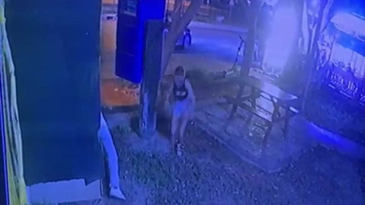 Antalya'da suç örgütü operasyonu: 63 şüpheli gözaltına alındı, 200 milyon TL'lik malvarlığına el konuldu