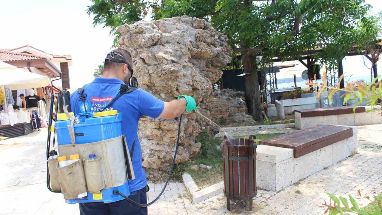 Antalya'da vektörle mücadele 19 ilçede sürüyor