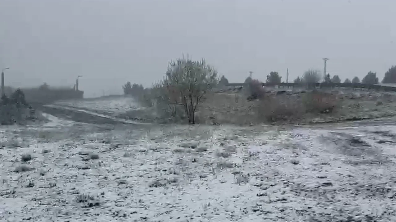 Ardahan Posof Yaylasında Haziran Karı: Besiciler Hazırlıksız Yakalandı