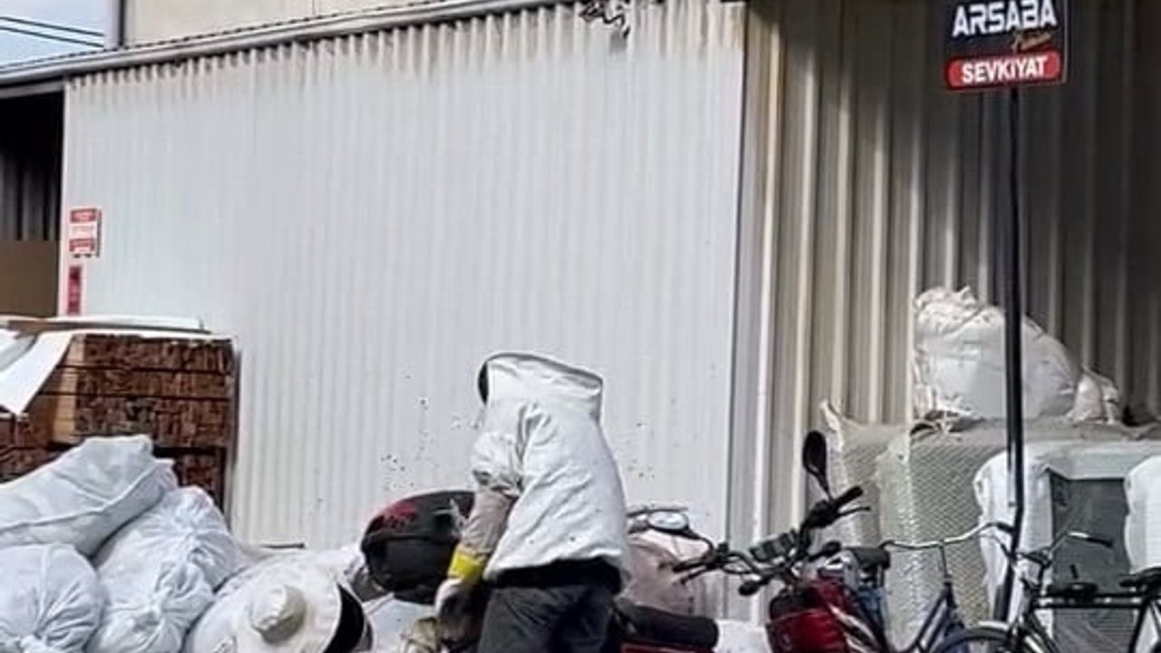 Arılar motosiklette oğul verdi