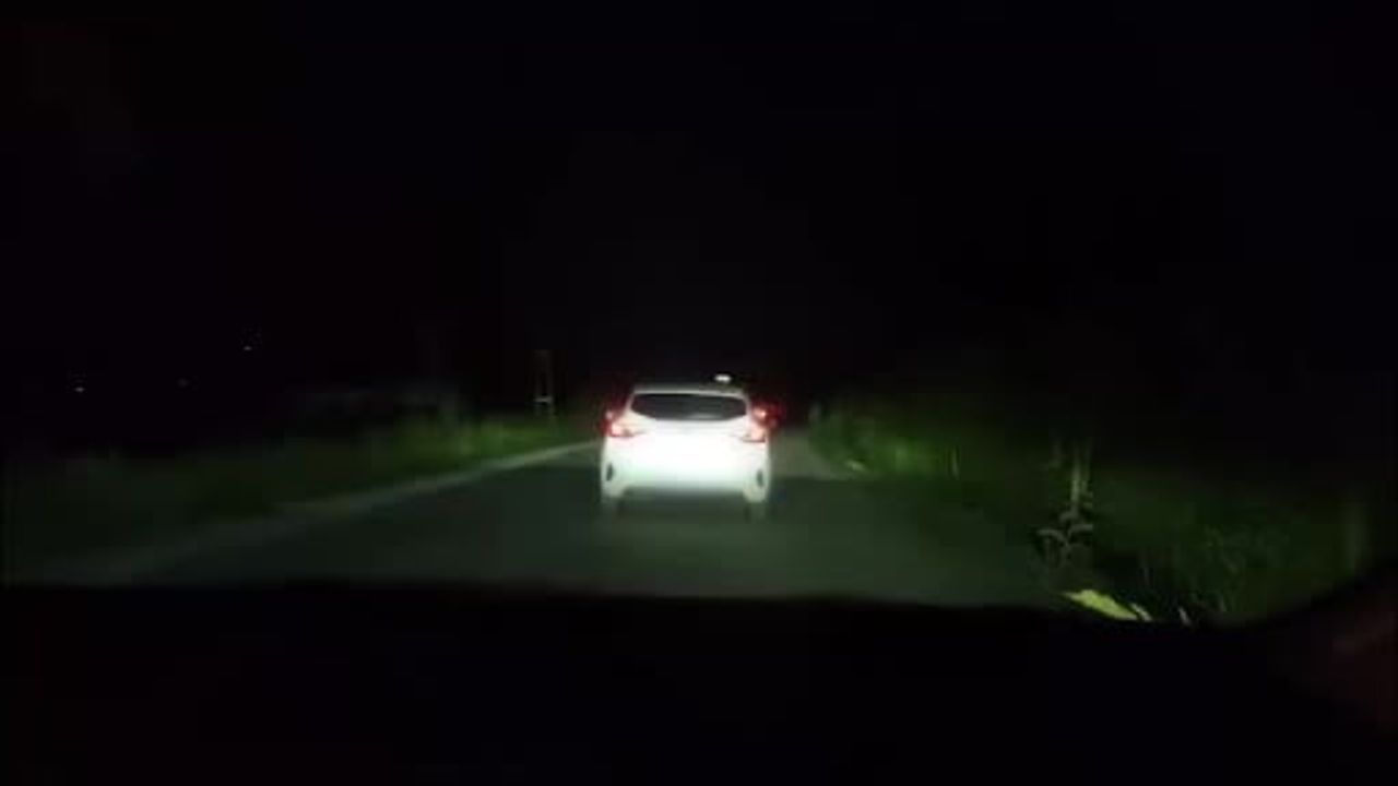 Arnavutköy'de uyuşturucu operasyonu: 398 kilo skunk ele geçirildi, bir şüpheli gözaltına alındı