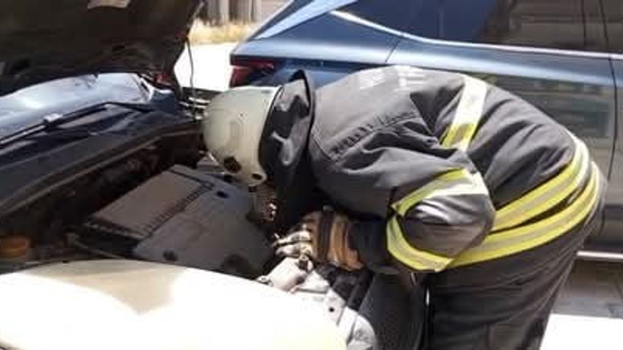Arsuz’da motor bölümüne giren yavru kedi itfaiye tarafından kurtarıldı