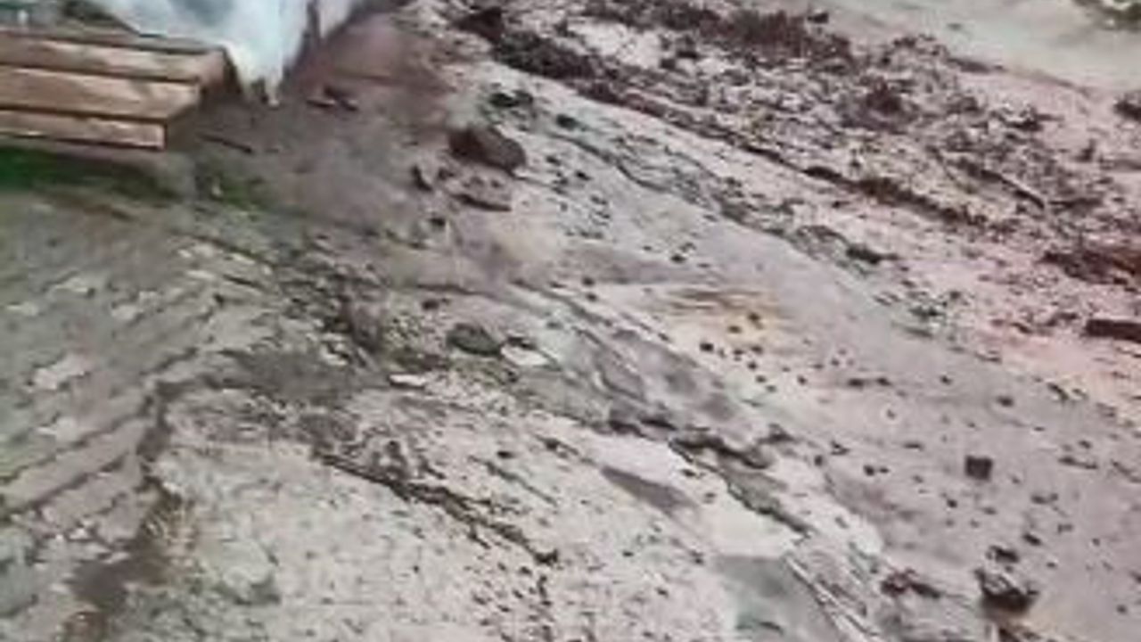 Artvin'de sağanak sonrası dereler taştı