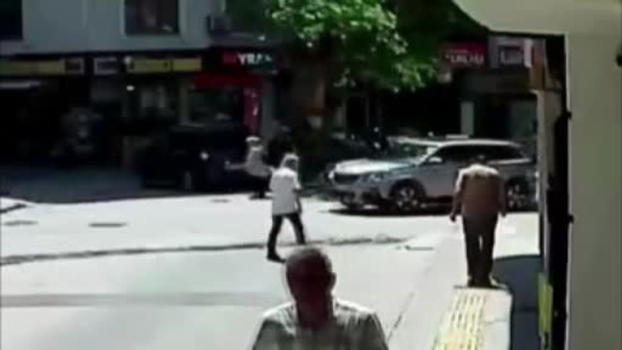 Asırlık çınarın devrilme anı kamerada: Görüntüler ve olası etkileri