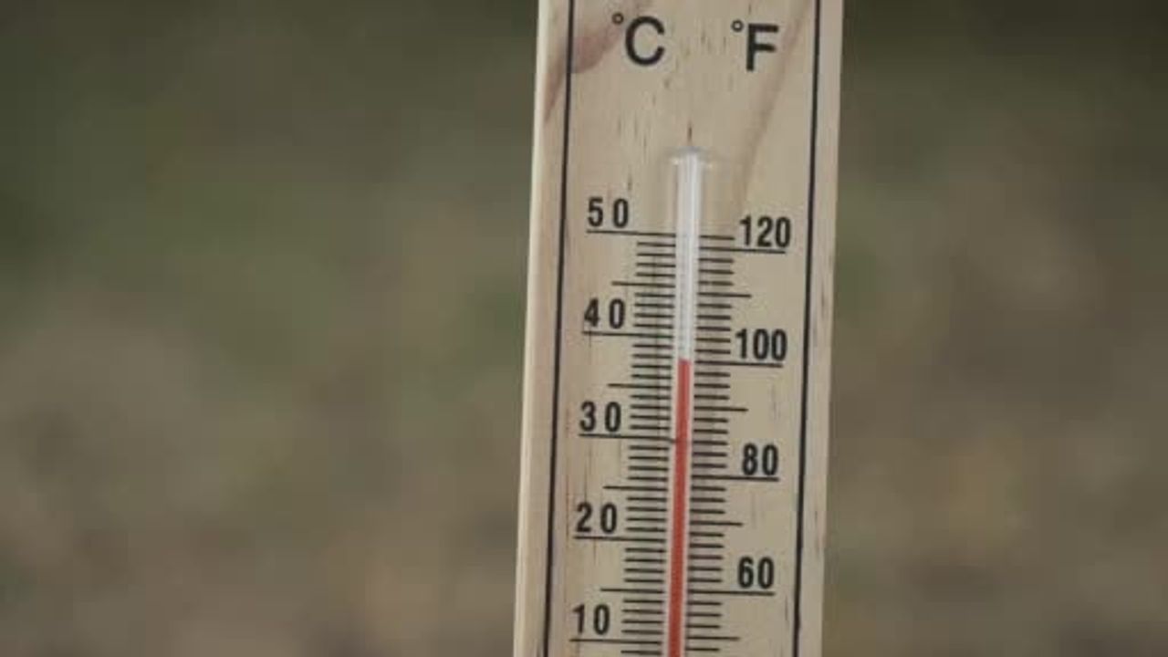 Avrupa'da aşırı sıcaklar: Fransa'da 50, İspanya'da 212 can kaybı