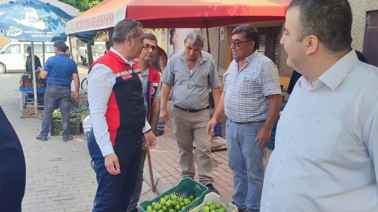 Aydın’da dünya markası incir için sahada yoğun mesai