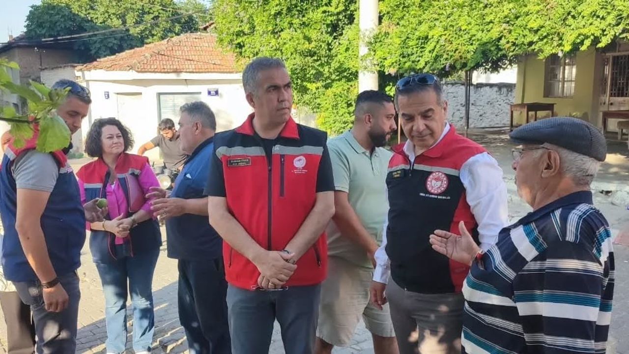 Aydın'da ilekleme sezonu yakından izleniyor: İl Tarım Müdürü Temiz İlek Pazarı'nı ziyaret etti