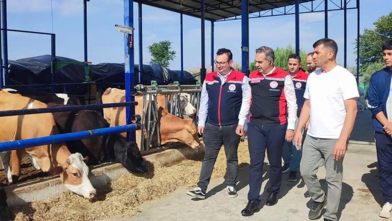 Aydın’da üretim gücü artıyor: kırsalda bereket hayvancılığa destek projesi