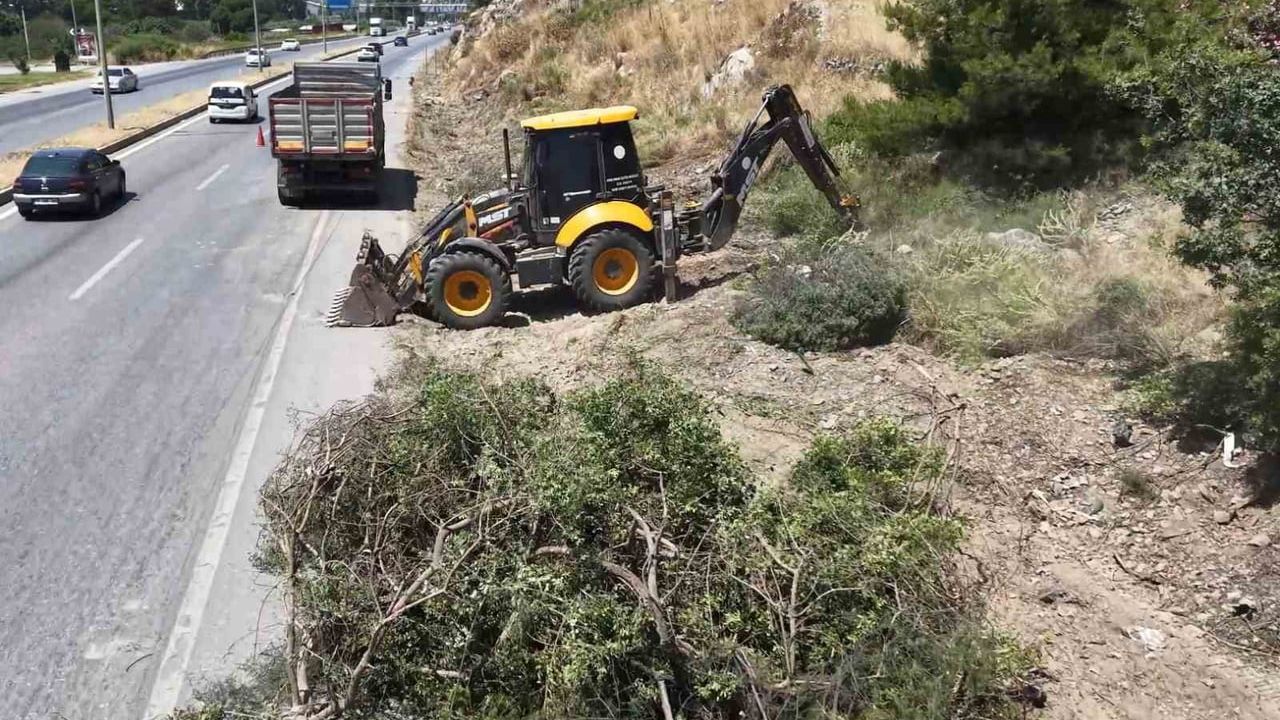 Aydın Orman İşletme Müdürlüğü'nden Sazlıköy'de yol kenarı temizliği