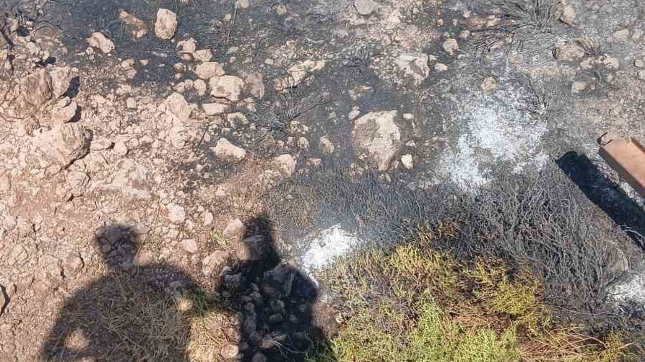Ayvacık'ta makilik alanda yangın çıktı