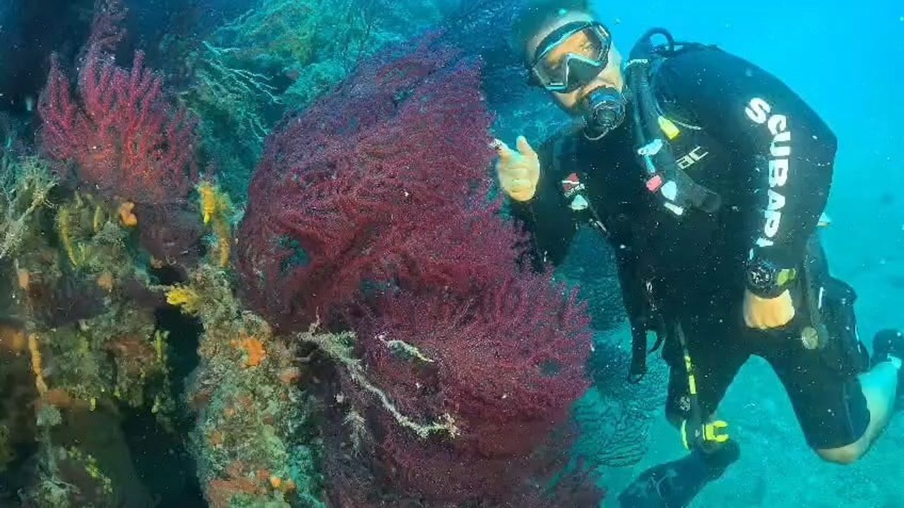 Ayvalık’ta bazı su altı bölgeleri sportif dalışa açıldı