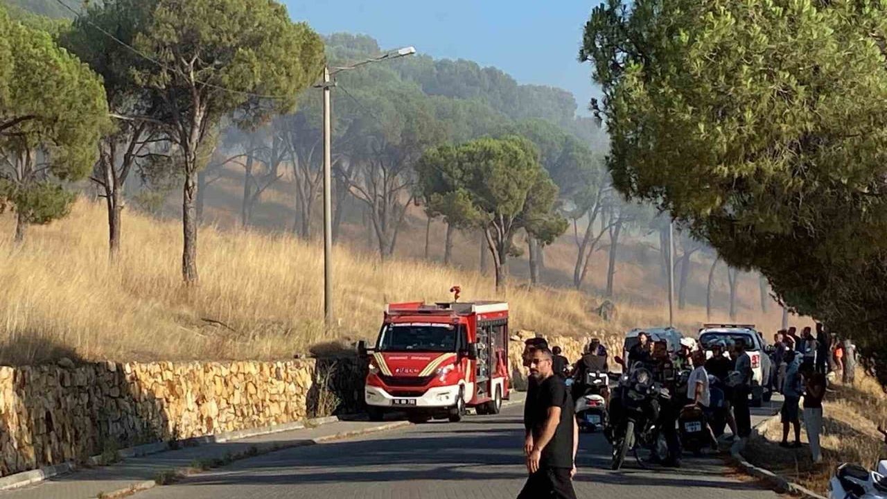 Ayvalık'ta örtü yangını: ekipler havadan ve karadan müdahale ediyor
