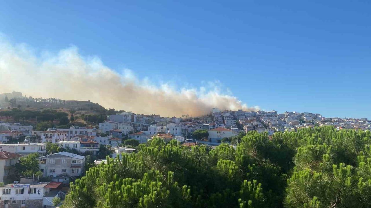 Ayvalık'ta örtü yangını kontrol altına alındı