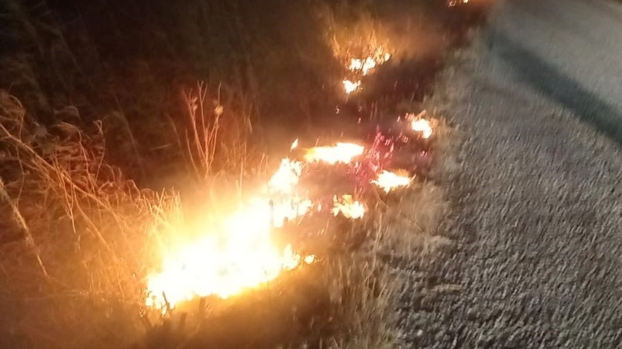Ayvalık'ta otluk alan yangını ekiplerin müdahalesiyle büyümeden söndürüldü