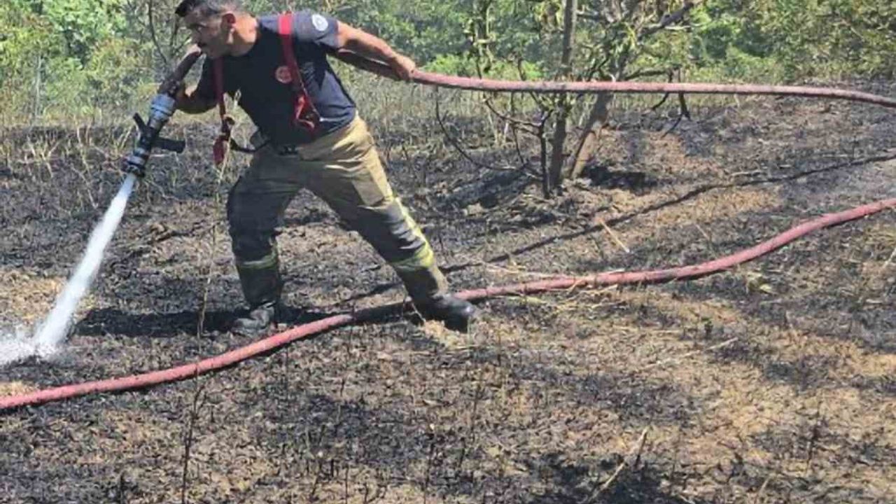 Bağ evinde çöp yakılması 4 dönümlük alan küle döndü