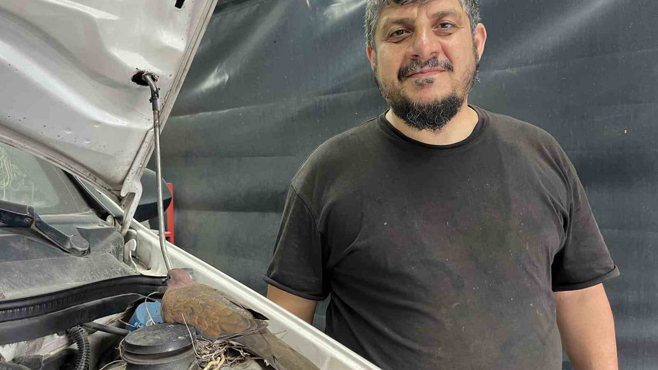 Bağcılar'da Tamir Halindeki Otomobile Kumru Yuva Yaptı, İş Yeri Lift Kullanımını Durdurdu