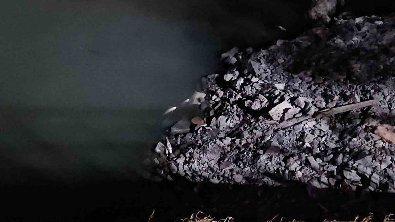 Bakırköy'de Çırpıcı Deresi'nde toplu balık ölümleri: AFAD inceleme başlattı