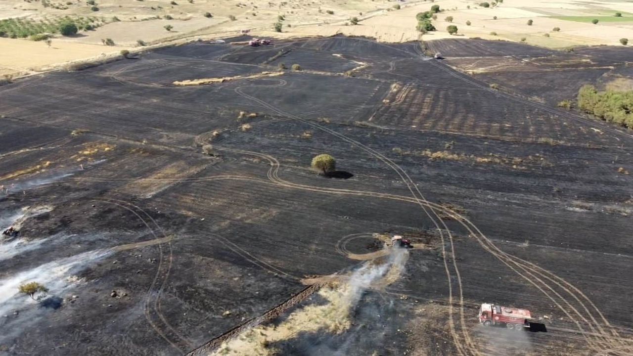 Balıkesir'de arazi yangını söndürüldü