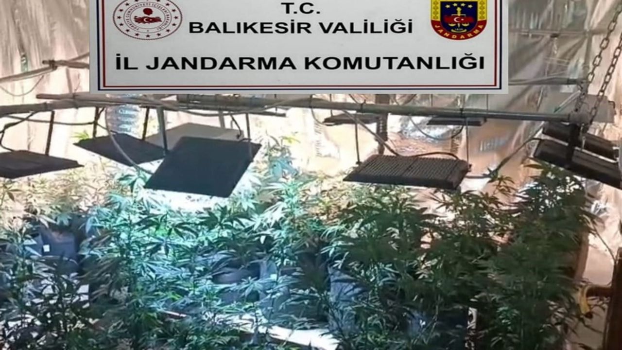 Balıkesir’de jandarmadan uyuşturucu serasına çevrilen evlere baskın: 12 gözaltı