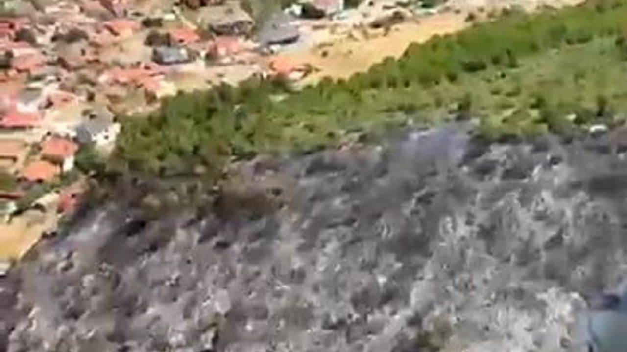 Balıkesir'de orman yangını kontrol altına alındı