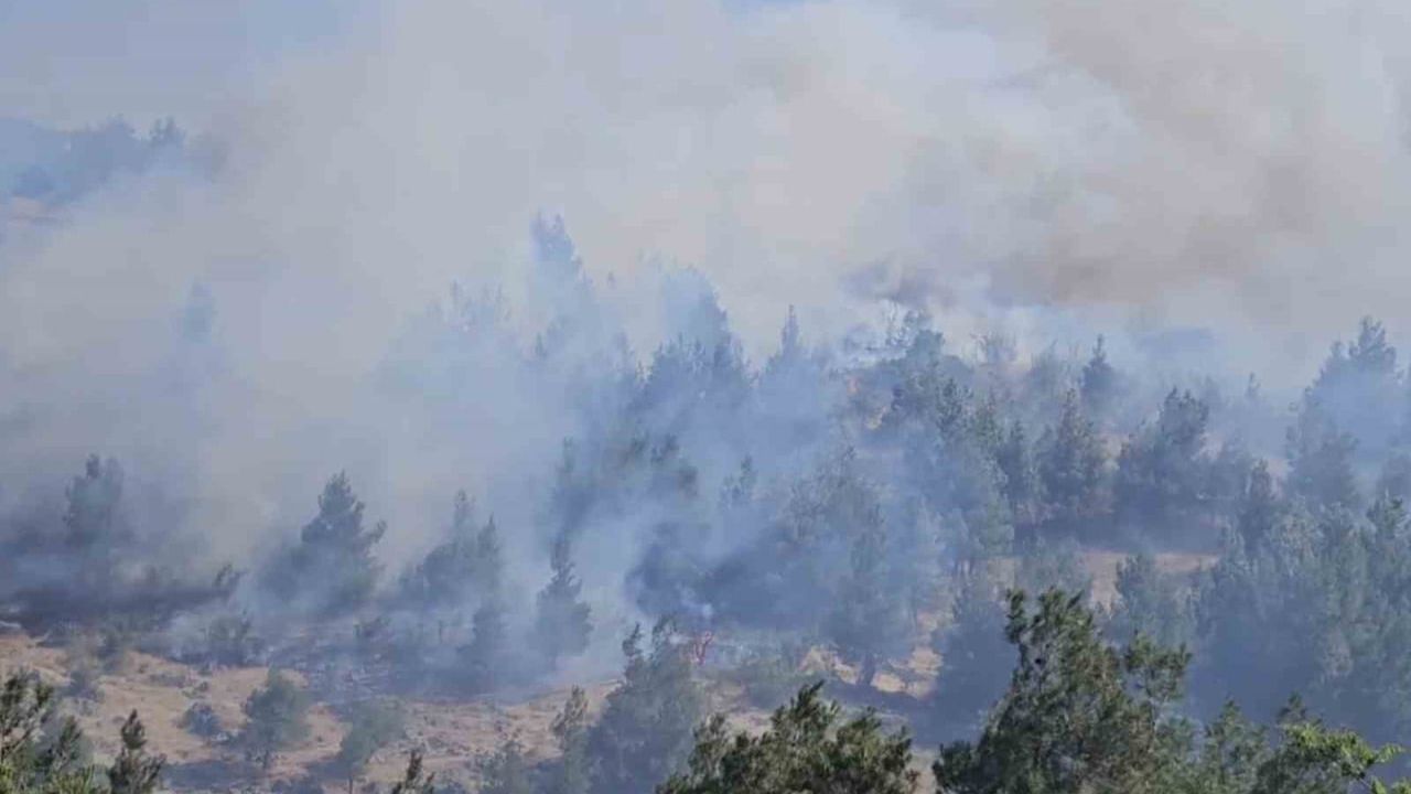 Balıkesir'de otluk ve koruluk alanda yangın