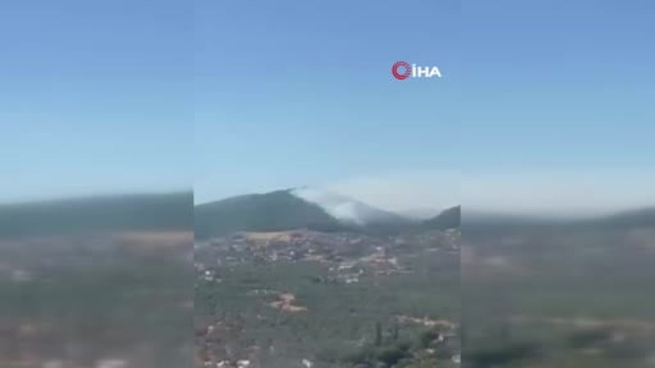 Balıkesir'de Taylıeli Mahallesi'nde orman yangınına müdahale sürüyor