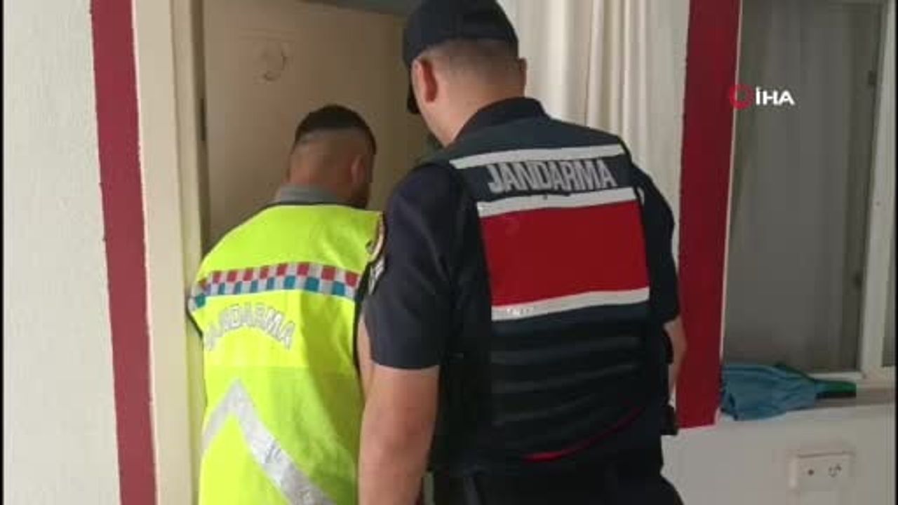 Balıkesir jandarmasının kenevir operasyonunda 12 şüpheli yakalandı