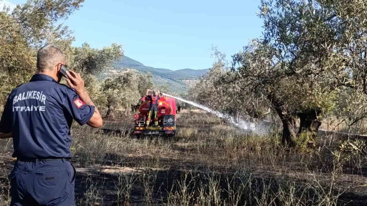 Balıkesir Ziraat Odası Başkanı uyardı: bir yıllık emek bir sigara izmaritiyle kül olmasın
