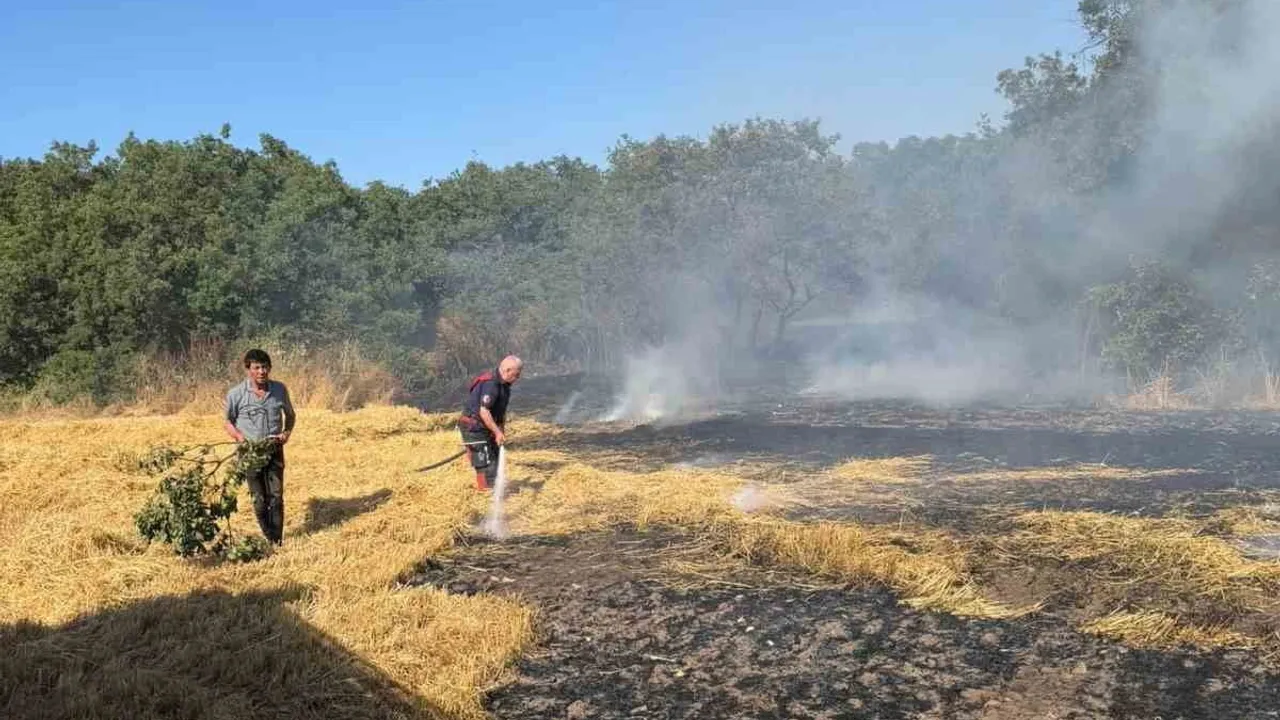 Bandırma'da anız yangını itfaiye ekiplerince söndürüldü