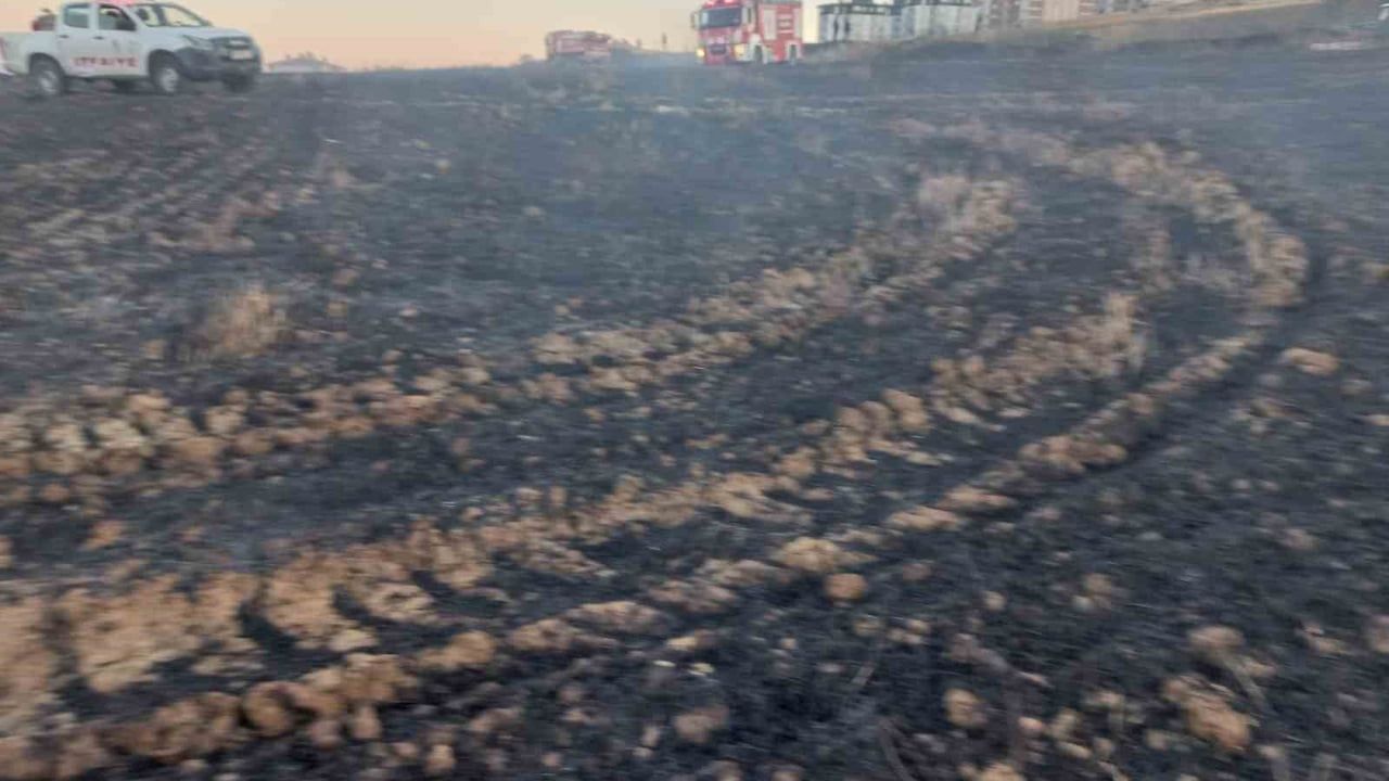 Bandırma'da buğday tarlasında çıkan yangın söndürüldü
