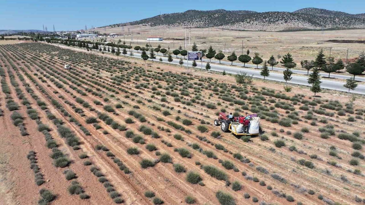Başkan Altay, 2027 tarımsal destek başvurularının 1 Temmuz'da başlayacağını duyurdu