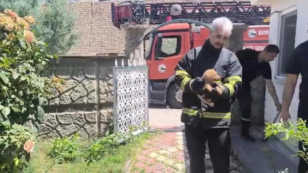 Batman’da fabrika duvarına sıkışan köpek kurtarıldı, işçiler sahiplendi