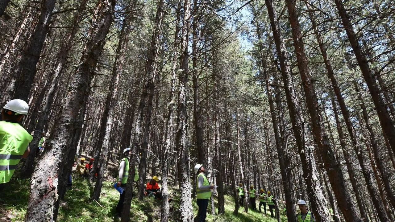 Bayburt OİM personeli orman bakım tatbikatına katıldı