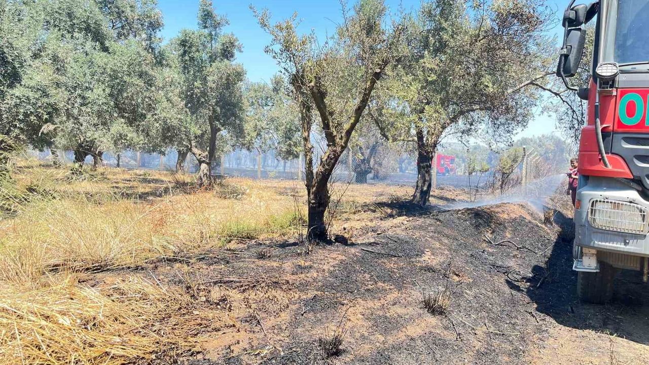 Bayındır'da rüzgârın etkisiyle yayılan arazi yangını bir saatte kontrol altına alındı