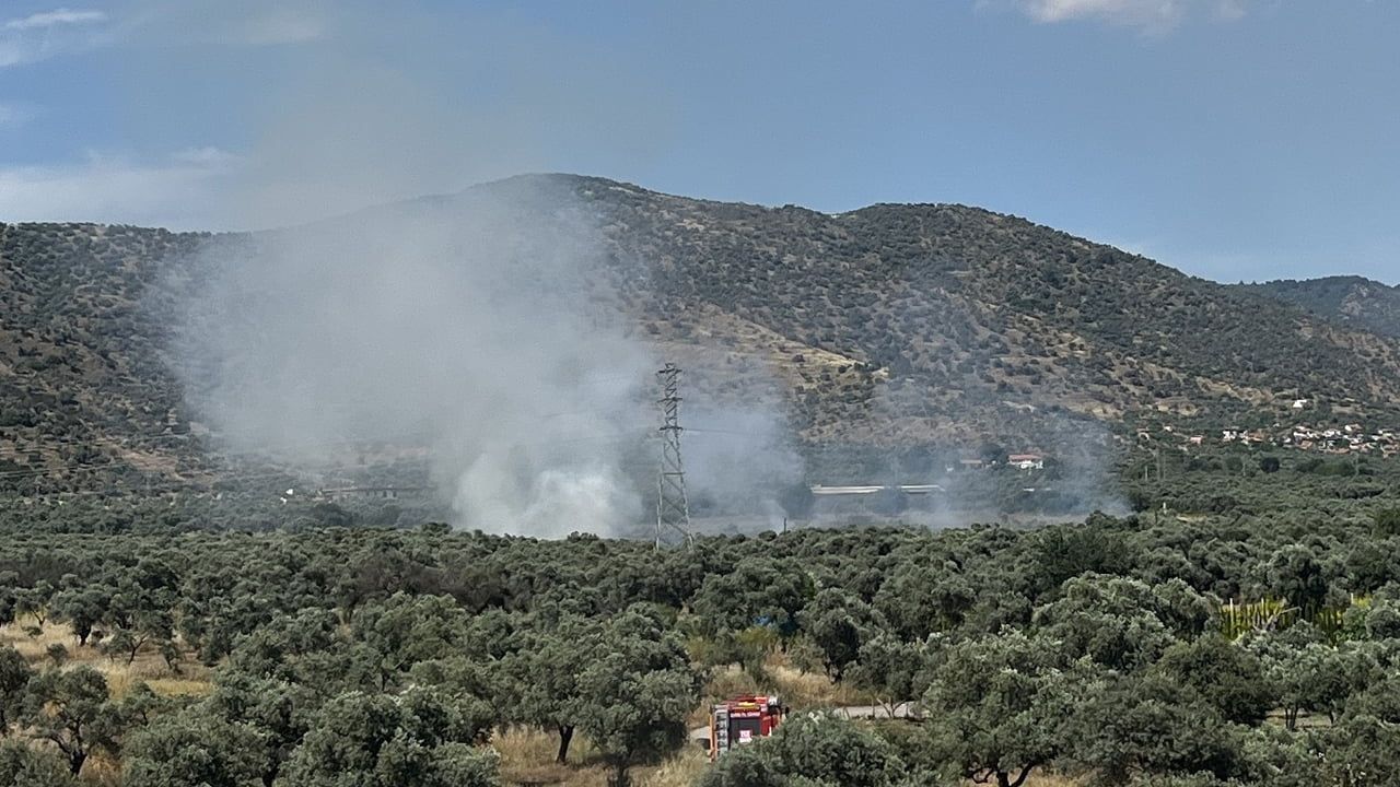 Bayındır Demircilik Mahallesi'ndeki zeytinlik yangını kontrol altına alındı